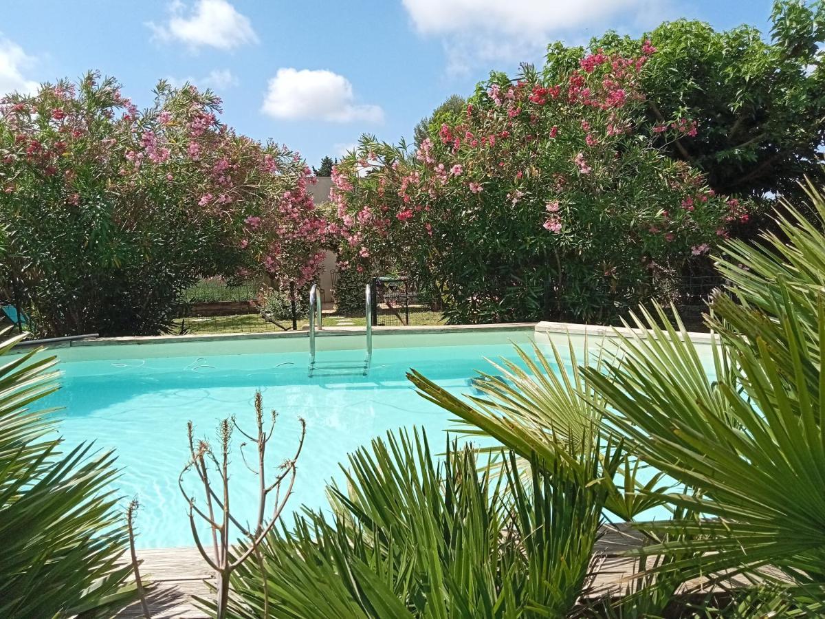 Cosy En Provence Villa Maillane Ngoại thất bức ảnh
